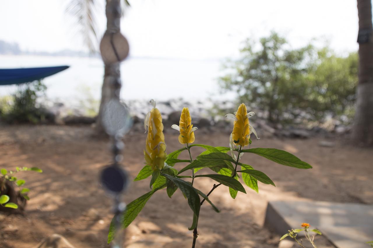 Patnem Beach Kala Bahia酒店 外观 照片